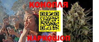 стафф Севастополь