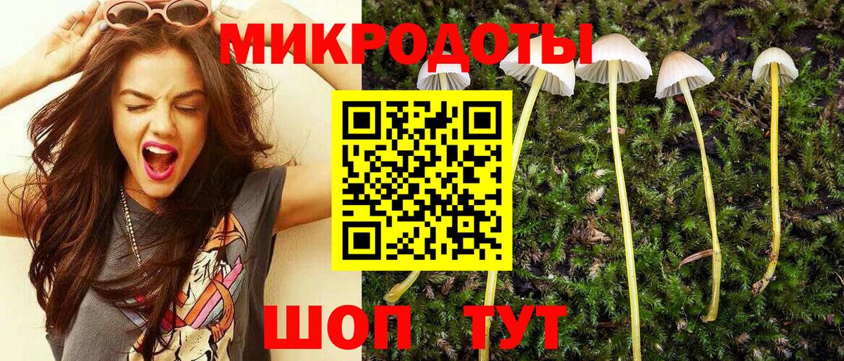 Галлюциногенные грибы мицелий  Вход с VPN  Галлюциногенные грибы Cubensis  Отрадное 