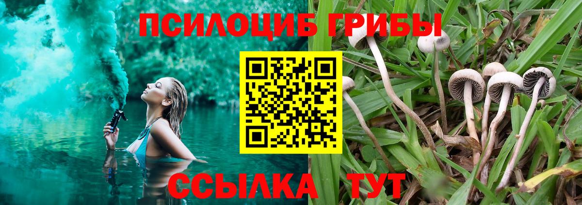 Галлюциногенные грибы Psilocybine cubensis Отрадное